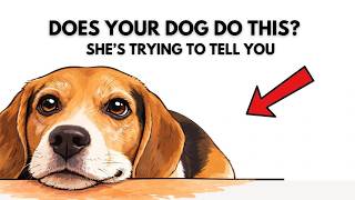 10 Surprising Ways Your Dog Is Trying to Talk to You (Stop Ignoring It!)