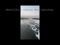 save Yamuna