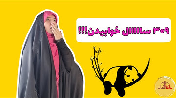 داستان اصحاب کهف|سوره کهف|اصحاب الکهف|