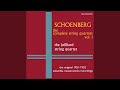 Miniature de la vidéo de la chanson String Quartet No. 1 In D Minor, Op. 7: I. Nicht Zu Rasch
