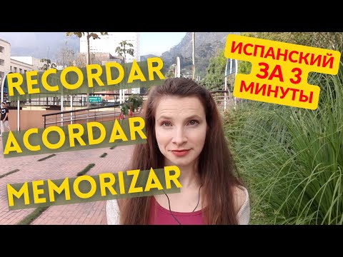 Разница между recordar и acordar: испанские глаголы памяти