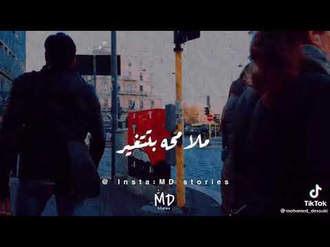 حالات واتس شيرين عبد الوهاب عشرة ومشوار