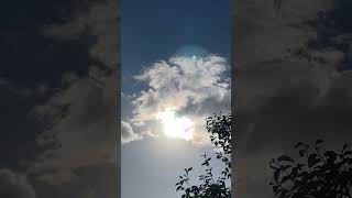 IMG 6784