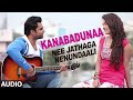 Kanabadunaa Song - K.K. & Arpita Chakraborty - Nee Jathaga Nenundaali (Telugu Movie 2014)