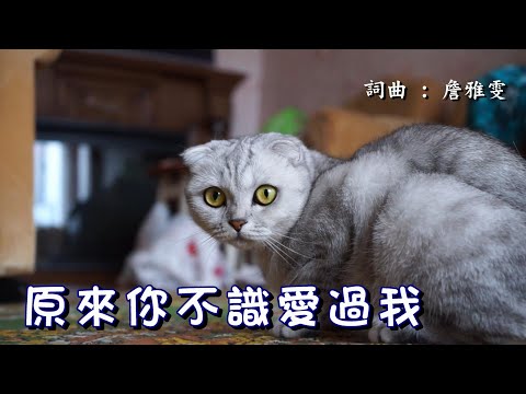 #原來你不識愛過我 詞曲 : #詹雅雯 G調 TenorSax Cover by 最愛SAX