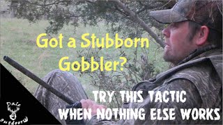 Hunting PRESSURED and Stubborn GOBBLERS/ A tactic ANYONE can do and be Successful