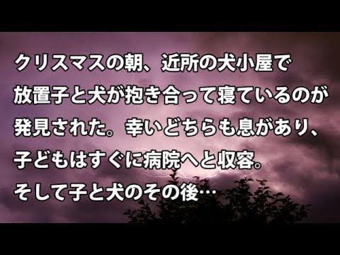 【修羅場　衝撃】クリスマスの朝、近所の犬小屋で放置子と犬が抱き合って寝ているのが発見された。幸いどちらも息があり、子どもはすぐに病院へと収容。そして子と犬のその後…　【修羅場・衝撃体験をお送りします】