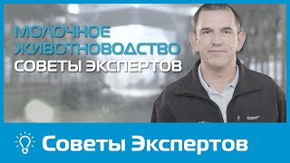 Совет От Afi Как Распознать Мастит На Ранней Стадии