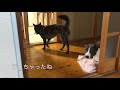 Silverfrog THE MOVIE Vol 92