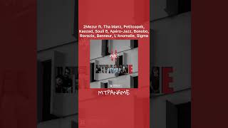 2Mezur ft. Tha Manz, Petitcopek, Kaozed, Souli B, Apéro-Jazz, Bonobo, Rovazio, … - MTPANAME
