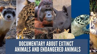 Meet Some of the World's Most Endangered Animals ( Endangered Species 2022 Documentary )