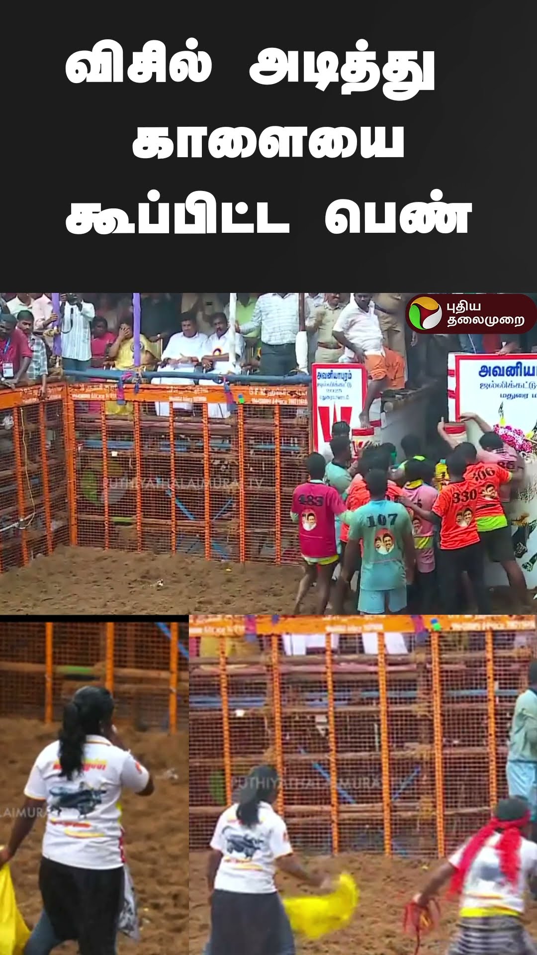 விசில் அடித்து காளையை கூப்பிட்ட பெண் | #shorts | #jallikattu