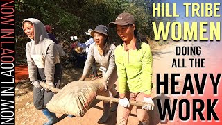 WILD LAOS - This Hill Tribe's Green Whiskey will Blow your Head Off..!