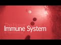 Human immune system  how it works animation