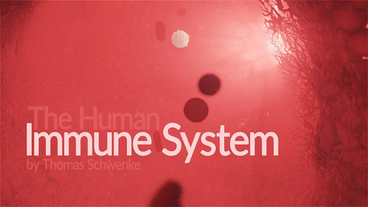 Human Immune System - How it works! (Animation)
