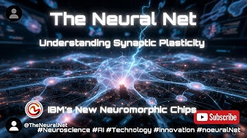 The Neural Net: Wiring the Brain