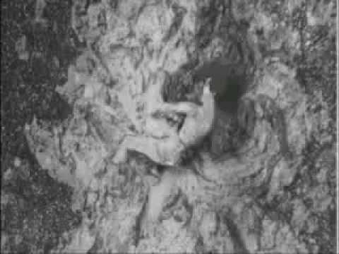 Protect me because I want (დამიფარე რადგან მინდა)