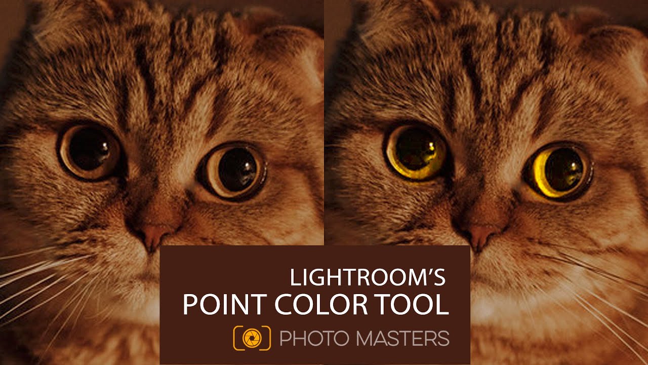 How to Use Lightroom's Point Color Tool