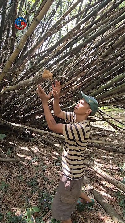 wiiih kakinya sampai keluar #shortvideo