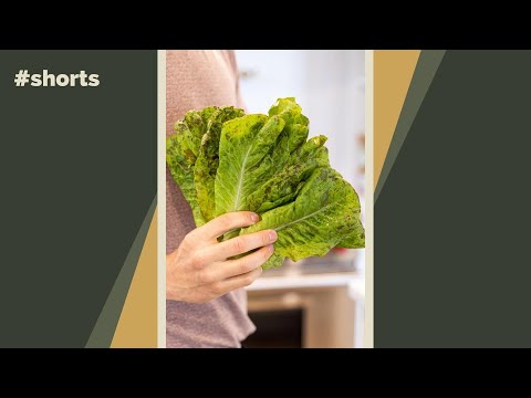 Video: Tips til rengøring og opbevaring af salat