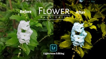 Flower Editing mobile | Lightroom mobile tutorial | Moody flower photography Editing @rusheditz