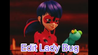 Edit Lady Bug