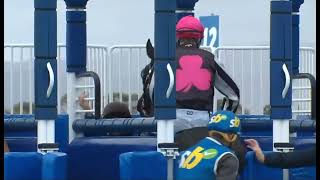 R1 Morphettville AUSTRALIA 05 SEP 2026 screenshot 3