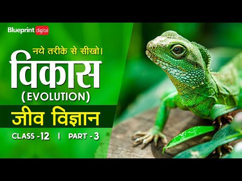 जैव विकास (Evolution) Part 3 | Hindi Medium | Biology Class 12 Chapter 7 Evolution |