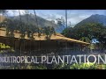 Maui Tropical Plantation and Mill House