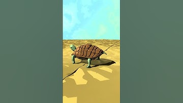 turtle for @truetle96  #3d #blender #animation #blender3d