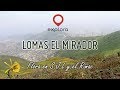 Lomas El Mirador y Amancaes, una belleza en SJL y el Rímac!