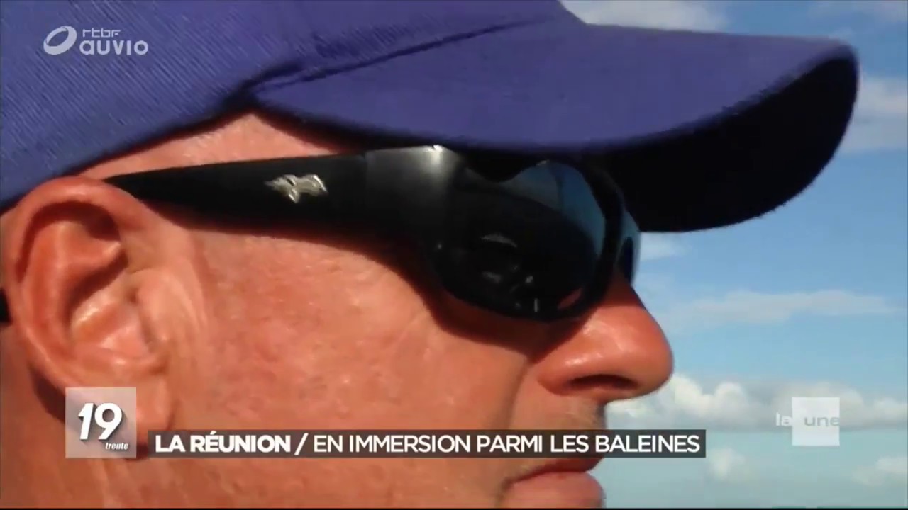RTBF BALEINES LA REUNION WULFY DIVING