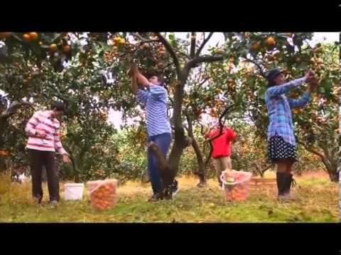 აღმოსავლეთ პარტნიორობა - ერთად განვითარებისკენ