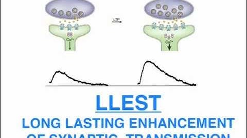 Kandel: Neural basis of memory