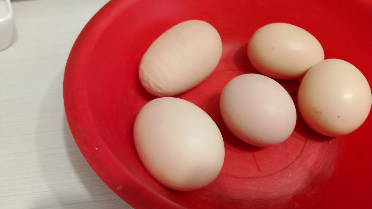 Снегом завалило❄️😊