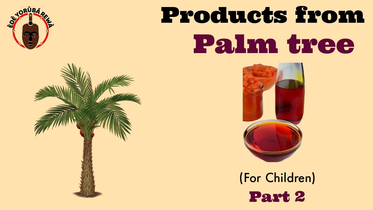 EPOPUPA PALM OIL How To Pronounce And Write Products From Palm Tree EPOPUPA PALM OIL How To Pronounce And Write Products From Palm Tree