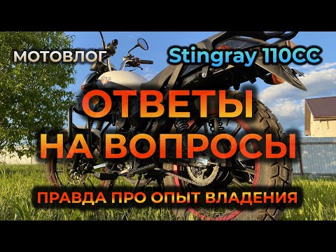 Video: Puting Stingray