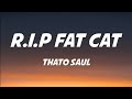 Thato Saul - R.I.P Fat Cat Lyrics