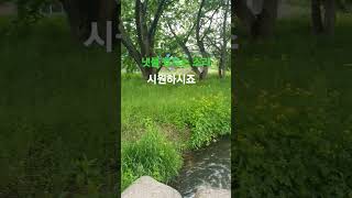 #자연의소리  #더위극복하기#청량감#더위#냇물#물흐르는소리 #더위극복하기