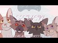Windclan Apprentices/ Seven/ Warrior Cats MAP CALL | BACKUPS OPEN(6/38)