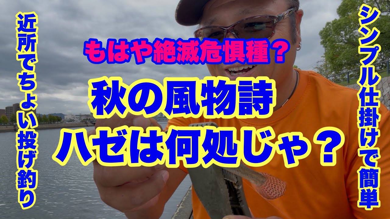 Cast #149] Did gobies go extinct in Hiroshima? Easy light shore