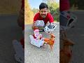 Police Car Vs Rc Santa Claus Sleigh with Reindeer Gift