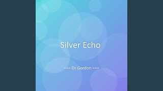 Silver Echo