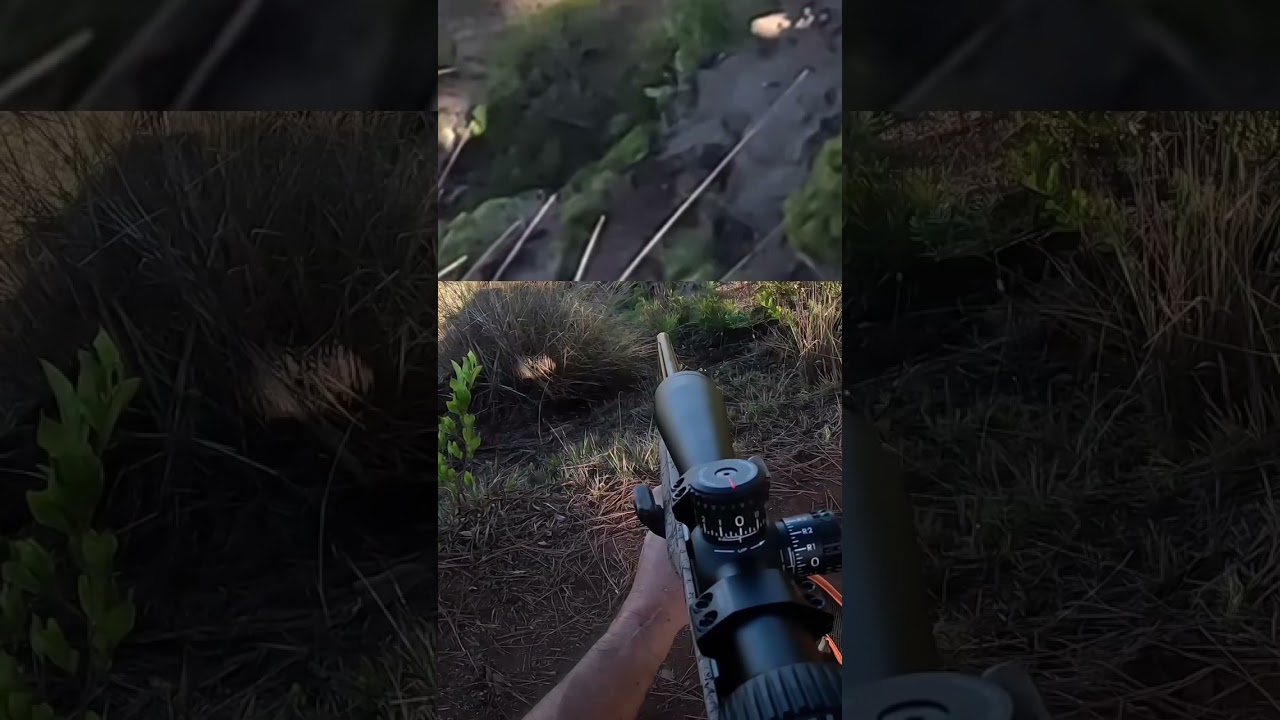 Makaha Ridge Goat Hunting Unit H 2024 // Remington 700 5R Gen 2 Stainless .308 Win