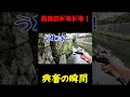 信じられない瞬間・・・！【興奮映像】#shorts