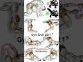 kegel exercise 🍌 for pelvic strength Quict workout at home #shortvideo #shorts #motivation #rap