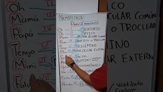 MNEMMONICS of the 12 CRANIAL PAIRS 1️⃣2️⃣ #bajavets #veterinarian #veterinaryanatomy #anatomy