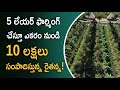 What is 5 Layer Farming? | 5 Layer Method Cultivation Details in Telugu | ffreedom show