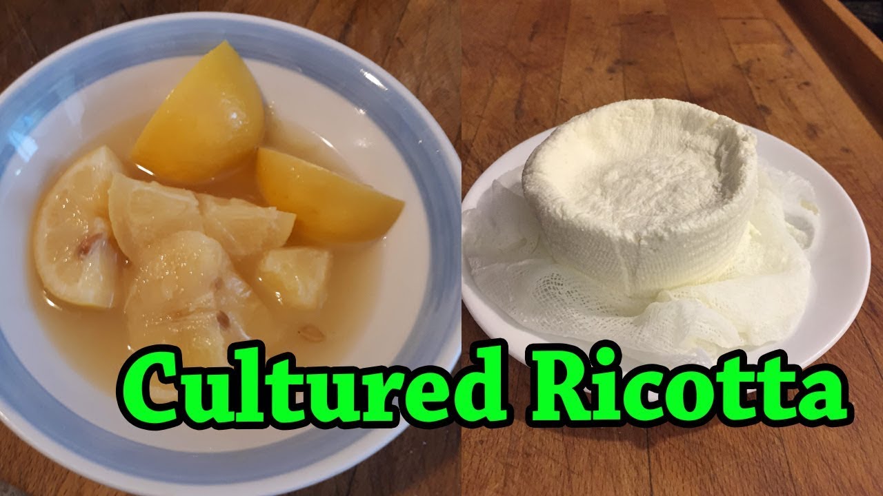 Cultured Ricotta Fermented Cheese Experiment for Beginners YouTube