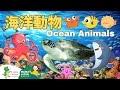 Ocean Animals in Chinese 海洋動物 | Animal Vocabulary | Learn Chinese for Kids, Toddlers &amp; Preschoolers